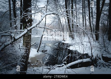 paysage hivernal, rivière dégelée dans une forêt enneigée Banque D'Images