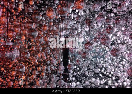 Tokyo. 20 novembre 2023. Cette photo prise le 20 novembre 2023 montre une vue de l'exposition « Bubble Universe » de TeamLab lors d'un aperçu médiatique à Tokyo, au Japon. Crédit : Tu Yifan/Xinhua/Alamy Live News Banque D'Images