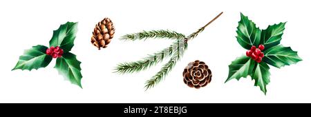 Aquarelle pommes de pin de noël, branche, baies de houx. Illustration botanique du nouvel an de la partie réaliste de feuillage persistant luxuriant isolé sur Whit Banque D'Images
