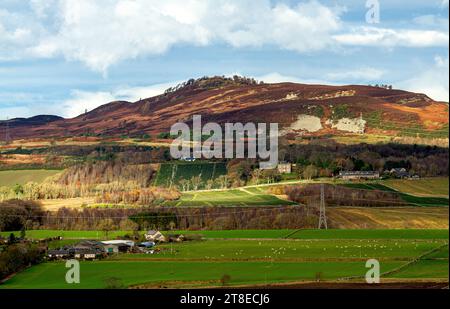 Dundee, Tayside, Écosse, Royaume-Uni. 20 novembre 2023. Météo au Royaume-Uni : dans la région rurale de Dundee, un soleil hivernal précoce avec un temps doux crée des paysages spectaculaires des collines Sidlaw et de la vallée de Strathmore. Crédit : Dundee Photographics/Alamy Live News Banque D'Images