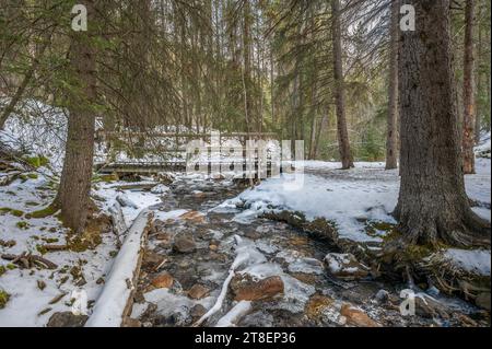 Vue hivernale d'une passerelle au-dessus d'un ruisseau dans Sundance Canyon dans le parc national Banff, Alberta, Canada Banque D'Images