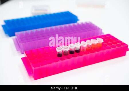 Tubes à essai en portoirs colorés pour analyse chimique. Banque D'Images