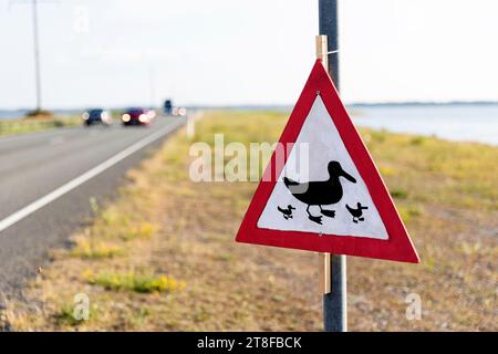 Joli panneau d'avertissement pour les animaux sur la route - canards, sur l'île de Saaremaa, Estonie Banque D'Images