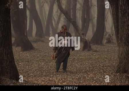 Ganderbal, Jammu-et-Cachemire, Inde. 20 novembre 2023, Ganderbal, Jammu-et-Cachemire, Inde : un berger se promène dans le champ avec un troupeau de moutons un jour d'automne brumeux à Ganderbal. À travers la vallée du Cachemire, les préparatifs pour l'hiver sont animés au milieu des couleurs d'automne vibrantes, signalant le froid qui approche à mesure que les jours raccourcissent. (Image de crédit : © Adil Abbas/ZUMA Press Wire) USAGE ÉDITORIAL SEULEMENT! Non destiné à UN USAGE commercial ! Crédit : ZUMA Press, Inc./Alamy Live News Banque D'Images