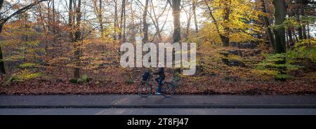 driebergen, pays-bas, 17 novembre 2023 : une fille à vélo passe des arbres ensoleillés avec de belles feuilles d'automne colorées Banque D'Images