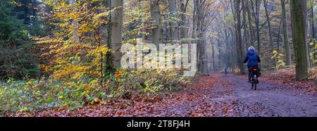 femme fait du vélo près d'utrecht aux pays-bas sur la route forestière entre les feuilles colorées à l'automne Banque D'Images