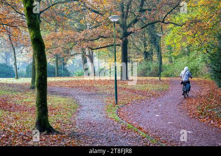 femme plus âgée monte à vélo à travers le parc dans les couleurs d'automne près d'utrecht aux pays-bas Banque D'Images