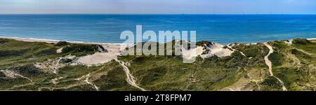 Dunes sur Holmsland Klit près de Hvide Sande, Danemark. Banque D'Images