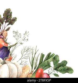 Cadre, planche, affiche de différents légumes : citrouille, radis, betteraves, oignons. Dessiné à la main à l'aquarelle. Utilisation dans la conception de livres de cuisine, menus Banque D'Images