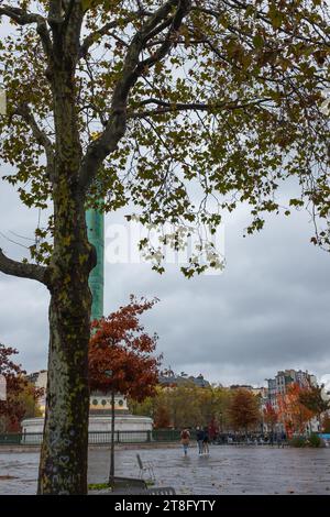 Paris, France, 2023. Plantés après la rénovation de la place de la Bastille, les jeunes arbres s’enflamment dans leurs couleurs automnales sous le ciel parisien Banque D'Images