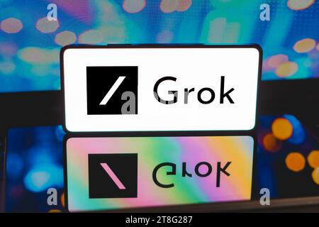 Brésil. 20 novembre 2023. Sur cette photo, le logo Xai Grok est affiché sur l'écran d'un smartphone. Crédit : SOPA Images Limited/Alamy Live News Banque D'Images