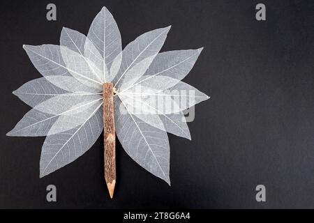 Arbre abstrait en forme d'étoile fait de feuilles de squelette blanc et une brindille de crayon, isolé sur noir Banque D'Images