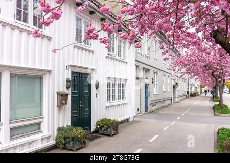 Maisons en bois d'époque au printemps, Rådhusgata, Kristiansand (Christiansand), Comté d'Agder, Norvège Banque D'Images