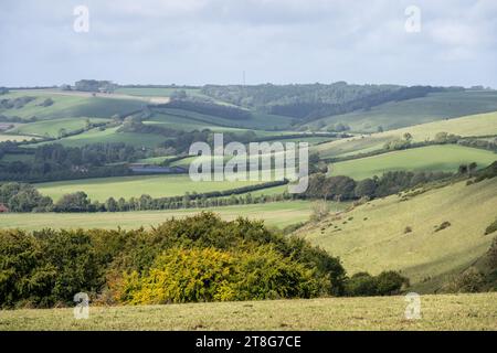 Des champs de terres agricoles et des boisés patchwork remplissent la Sydling Valley dans les collines ondowns de Dorset en Angleterre. Banque D'Images