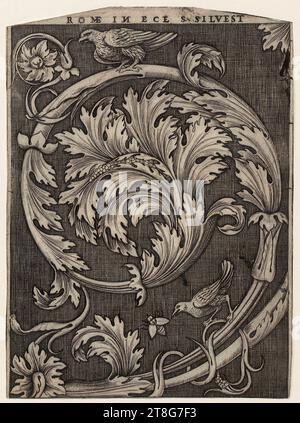 Agostino dei Musi (gén. Agostino Veneziano) (1490 UM - après 1536), attribué, gravure ornementale avec feuillage, origine du support d'impression : 1515 - 1536, gravure sur cuivre, taille de la feuille : 17,9 x 13,1 cm (rogné en haut et en bas) » inscrit en haut au centre 'ROMÆ IN N image miroir ECL. S. SILVEST Banque D'Images