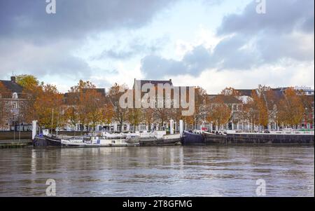 La rivière Maas, rivière Meuse avec barges, Maastricht, Limbourg, pays-Bas. Banque D'Images