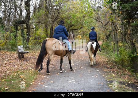 Deux femmes montent à cheval le long d'un sentier public à Abingdon, Virginie. Banque D'Images