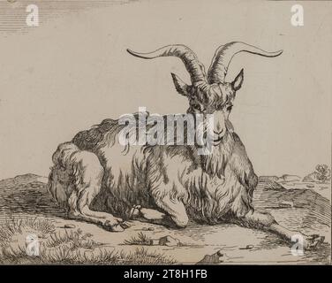 Collection de 20 gravures animales d'après Nicolas Berchem, graveur, 19e siècle, Arts graphiques, Imprimer, imprimer album, carte, papier, gravure, Dimensions - travail : hauteur : 14 cm, largeur : 19 cm Banque D'Images