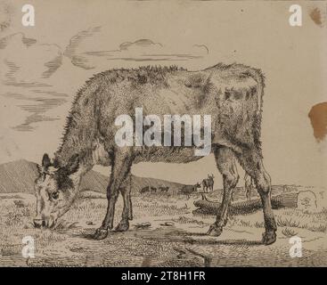 Collection de 20 gravures animales d'après Nicolas Berchem, graveur, 19e siècle, Arts graphiques, Imprimer, imprimer album, carte, papier, gravure, Dimensions - travail : hauteur : 14 cm, largeur : 19 cm Banque D'Images