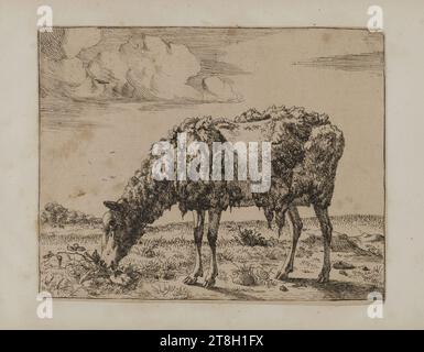 Collection de 20 gravures animales d'après Nicolas Berchem, graveur, 19e siècle, Arts graphiques, Imprimer, imprimer album, carte, papier, gravure, Dimensions - travail : hauteur : 14 cm, largeur : 19 cm Banque D'Images