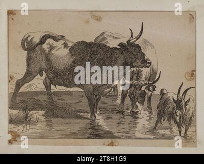 Collection de 20 gravures animales d'après Nicolas Berchem, graveur, 19e siècle, Arts graphiques, Imprimer, imprimer album, carte, papier, gravure, Dimensions - travail : hauteur : 14 cm, largeur : 19 cm Banque D'Images