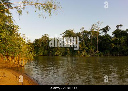 Coucher de soleil au bord de la rivière Maroni Banque D'Images