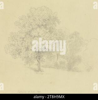 CARL THEODOR REIFFENSTEIN, arbre dans un pré près de Seeheim, 19 juillet 1872, feuille, 149 x 172 mm, crayon sur papier, arbre dans un pré près de Seeheim, CARL THEODOR REIFFENSTEIN, page, rubans adhésifs, volume 31, page 8, référence / total, 1 / 2, quartier SEEHEIM-JUGENHEIM, 19E SIÈCLE, DESSIN, crayon sur papier, MÉLANGE GRAPHITE-ARGILE, PAPIER, DESSIN AU CRAYON, ALLEMAND, ÉTUDE DU PAYSAGE, ÉTUDE DES ARBRES, ÉTUDE DES VOYAGES, ÉTUDE, datée et inscrite en bas à gauche, au crayon, Seeheim. 19 juillet 1872., numéroté sur la page au-dessus du dessin, au stylo noir Banque D'Images