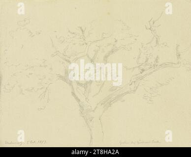 CARL THEODOR REIFFENSTEIN, cime d'arbre sur l'Unterweg dans le jardin du jardinier Buck à l'Eschenheimer Anlagen à Francfort-sur-le-main, 5 octobre 1873, feuille, 118 x 159 mm, crayon sur papier, cime d'arbre sur l'Unterweg dans le jardin du jardinier Buck à l'Eschenheimer Anlagen à Francfort-sur-le-main, CARL THEODOR REIFFENSTEIN, page, rubans adhésifs, volume 31, page 34, référence / total, 1 / 2, FRANCFORT AM MAIN, 19E SIÈCLE, DESSIN, crayon sur papier, MÉLANGE GRAPHITE-ARGILE, PAPIER, DESSIN AU CRAYON, ALLEMAND, ÉTUDE D'ARBRE, ÉTUDE DE VOYAGE, CROQUIS, ÉTUDE, daté et inscrit en bas à gauche, au crayon, sur Banque D'Images