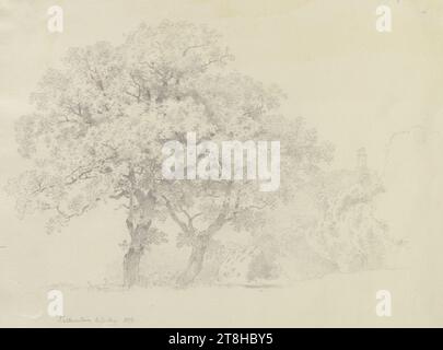 CARL THEODOR REIFFENSTEIN, paire d'arbres, en arrière-plan Château de Falkenstein, 6 août 1877 - 7 août 1877, feuille, 185 x 240 mm, crayon sur papier vélin, paire d'arbres, en arrière-plan Château de Falkenstein, CARL THEODOR REIFFENSTEIN, page, rubans adhésifs, ruban 34, page 58, référence / total, 2 / 2, FALKENSTEIN BURG, KOENIGSTEIN im TAUNUS, région, 19e SIÈCLE, DESSIN, crayon sur papier vélin, MÉLANGE GRAPHITE-ARGILE, PAPIER VELOURS, DESSIN AU CRAYON, ALLEMAND, ÉTUDE DES ARBRES, ÉTUDE DU PAYSAGE, ÉTUDE DES VOYAGES, ÉTUDE, datée et inscrite en bas à gauche, au crayon, Falkenstein 6. 7. Août 1877., numéroté le Banque D'Images
