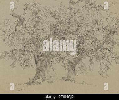 CARL THEODOR REIFFENSTEIN, deux vieux arbres, 11 juin 1842, feuille, 424 x 539 mm, stylo en gris sur papier vélin brunâtre, deux vieux arbres, CARL THEODOR REIFFENSTEIN, 19E SIÈCLE, DESSIN, stylo en gris sur papier vélin brunâtre, ENCRE?, ENCRE?, PAPIER VELIN, DESSIN AU STYLO, ALLEMAND, ÉTUDE DES ARBRES, ÉTUDE DES VOYAGES, ÉTUDE, daté en bas à gauche, avec le stylo en gris, 11 juin 1842 Banque D'Images