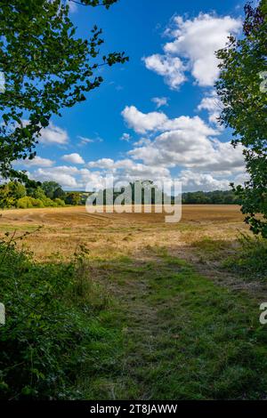 Campagne près de Chilham Kent Banque D'Images