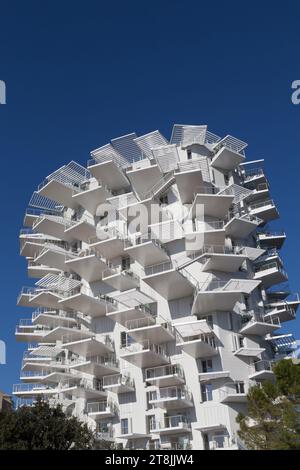 Bâtiment moderne ' l'arbre blanc ', les berges du Lez. Montpellier, Occitanie, France Banque D'Images