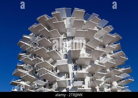 Bâtiment moderne ' l'arbre blanc ', les berges du Lez. Montpellier, Occitanie, France Banque D'Images