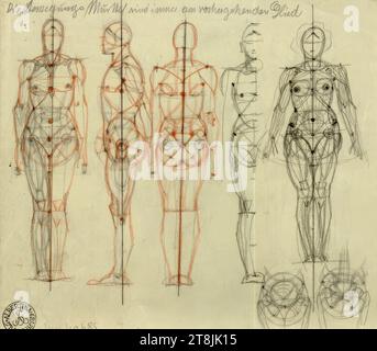 Diverses études anatomiques, Alexander Rothaug, Vienne 1870 - 1946 Vienne, dessin, crayon, crayon rouge, 15,7 x 17,9 cm, R.O. 'les muscles en mouvement sont toujours sur le membre précédent, Autriche Banque D'Images