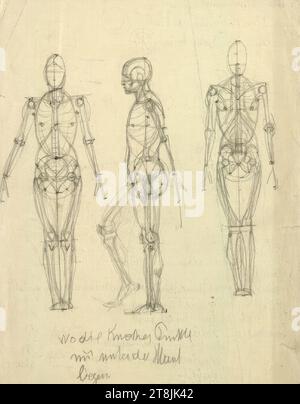 Diverses études anatomiques, Alexander Rothaug, Vienne 1870 - 1946 Vienne, dessin, crayon, 25 x 17,5 cm, l.l. 'où les os se trouvent / sous la peau, Autriche Banque D'Images