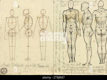 Diverses études anatomiques, Alexander Rothaug, Vienne 1870 - 1946 Vienne, dessin, crayon, encre, stylo, crayon de couleur rouge, 17,5 x 24,8 cm, l.l. 'la couche de graisse normale arrondit les formes.' ; moitié droite de l'image : étiquette illisible, Autriche Banque D'Images