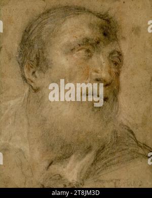 Étude de tête d'un vieil homme barbu face à droite, anonyme, 1575-1625, dessin, craie; craie rouge ; rehaussée en blanc, 24,0 x 19,5 cm, en bas à droite en craie 'TIZIANO Banque D'Images