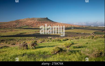 Plaine verte après pluie à l'est de Teguise avec Castillo de Santa Barbara, Îles Canaries, Lanzarote, Teguise Banque D'Images