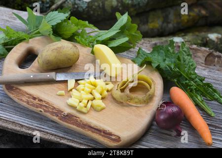faire une soupe avec des herbes et des légumes du jardin Banque D'Images