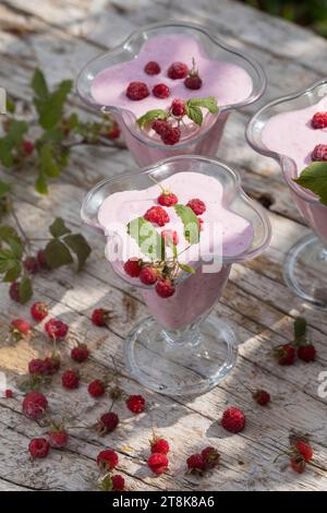 crème glacée molle selfmade à base de yaourt, qvark et fruits, glace finie décorée de framboises, photo de série 4/4 Banque D'Images