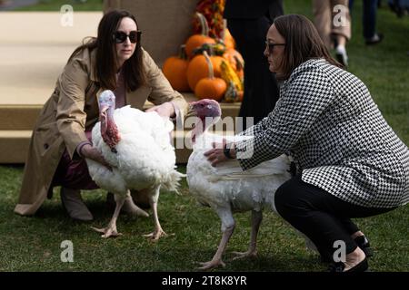 Washington, États-Unis. 20 novembre 2023. Des dindes graciées sont vues lors de la cérémonie nationale de grâce des dindons de dinde à la Maison Blanche à Washington, DC, aux États-Unis, le 20 novembre 2023. Crédit : Aaron Schwartz/Xinhua/Alamy Live News Banque D'Images