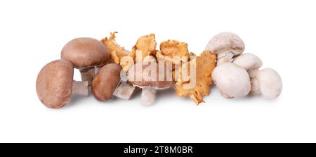 Pile de différents champignons isolés sur blanc Banque D'Images