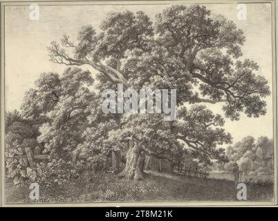 Groupe de puissants chênes anciens devant une clôture en bois dans un paysage de prairie, Carl Wilhelm Kolbe (l'ancien) (Berlin 1757 - 1835 Dessau), vers 1810, dessin, craie noire, 43 x 59,2 cm, l. l. Duc Albert de Saxe-Teschen Banque D'Images