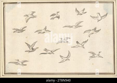 Feuille d'étude avec quatorze oiseaux volants (V-27), '5e Livre de dessin de AB Flamenn' avec 34 feuilles, Albert Flamen (Bruges vers 1620 - après 1693 Paris), dessin, plume et gris et brun, gris lavage., 106 x 16,3 cm, l. et Duc Albert de Saxe-Teschen Banque D'Images