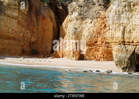 Excursion en bateau, visite des grottes le long des falaises, côte rocheuse sur l'Atlantique, Lagos, Algarve, Portugal Banque D'Images