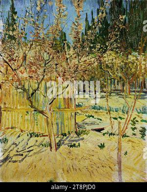 Vincent van Gogh - abricots à Blossom (1888, Johannesburg). Banque D'Images