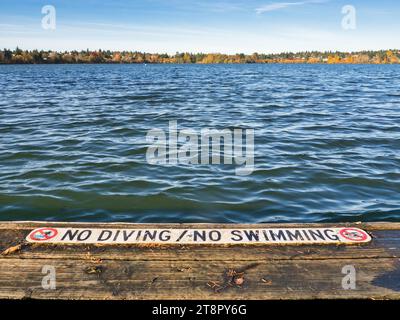 Signe « PAS DE PLONGÉE / PAS DE NATATION » à la fin du quai du lac en bois dans le parc de la ville avec un beau feuillage d'automne au loin. Ondulations douces sur le lac. Banque D'Images