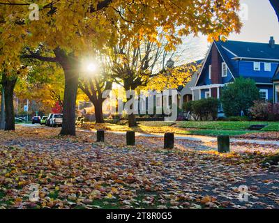 Rue résidentielle à Seattle avec un beau feuillage le jour de l'automne près de Green Lake Park, avec le soleil visible à travers les arbres à l'heure d'or. Banque D'Images