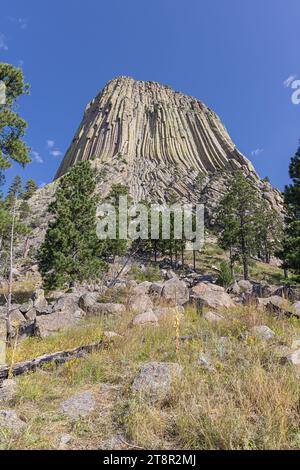 Devils Tower à sa base sur le chemin autour de la montagne Banque D'Images