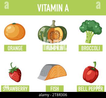 Illustration colorée de style dessin animé mettant en vedette une variété d'aliments riches en vitamine A. Illustration de Vecteur